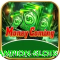 z3z3 Champion Slots